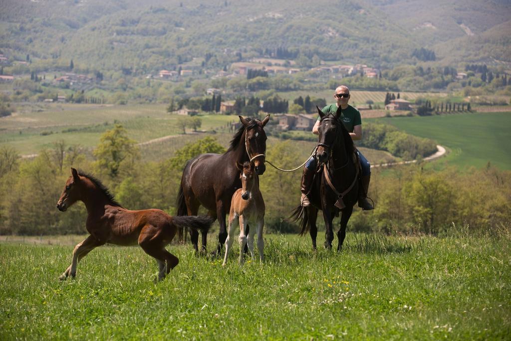 Poggiovalle Tenuta Italiana Città della Pieve Εξωτερικό φωτογραφία