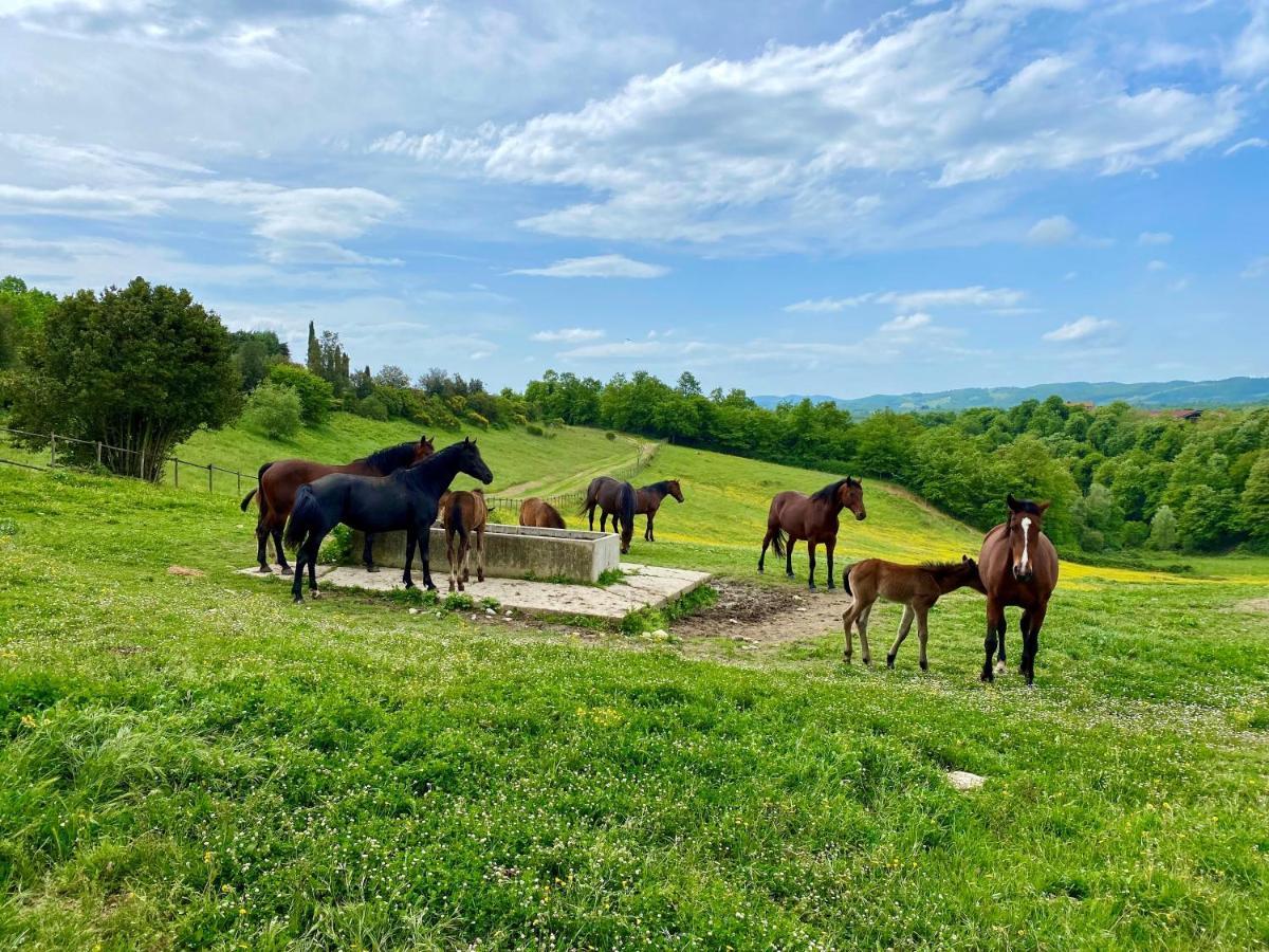 Poggiovalle Tenuta Italiana Città della Pieve Εξωτερικό φωτογραφία